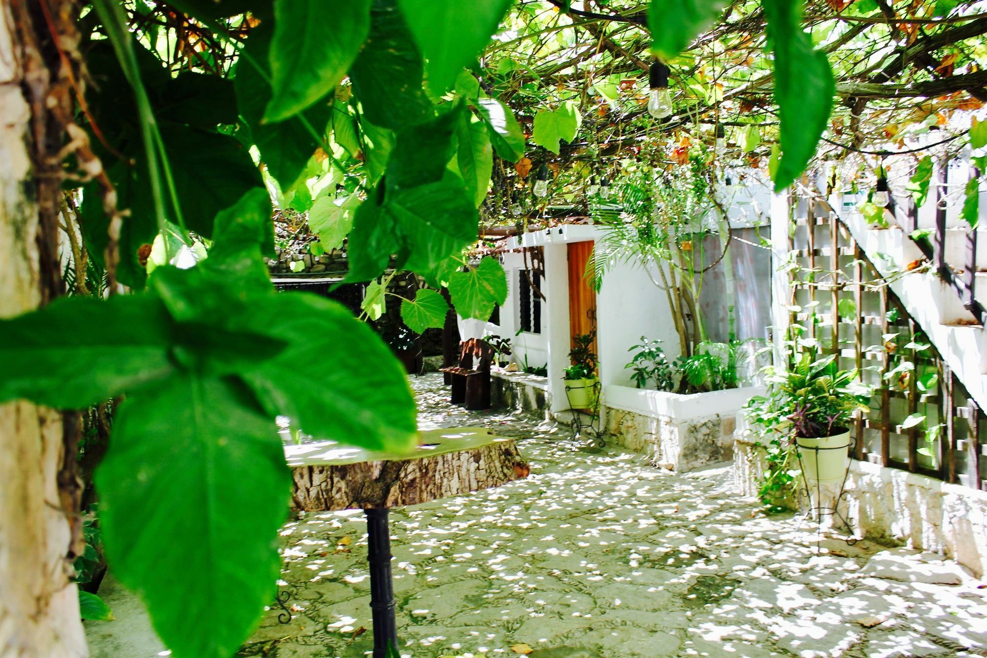 Posada Amor Hotel Boutique Puerto Morelos Exterior foto